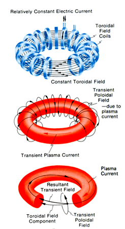 File:Tokamak fields lg.png