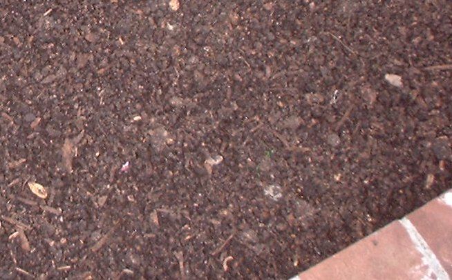 File:Compost.mulch.jpg