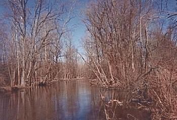 File:Cedar Creek Indiana.jpg