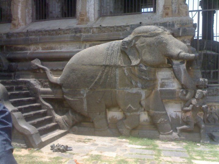 File:Elephant 1000 Pillar Mandapam Chidambaram.jpg