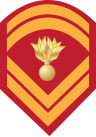 File:Army-GRE-OR-06a.svg