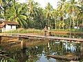 Wooden bridge at Uruvachal