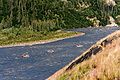 Nenana River rafting