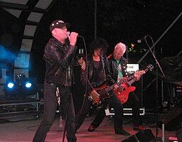 Troublemakers playing at Pretzeltown 2009