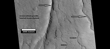 Possible inverted stream channels, Amazonis quadrangle, as seen by HiRISE under HiWish program. The ridges were probably once stream valleys that have become full of sediment and cemented. So, they became hardened against erosion which removed surrounding material. Illumination is from the left (west).