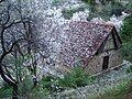 Church in spring