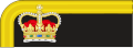 1856 to 1880 Lieutenant's collar rank insignia