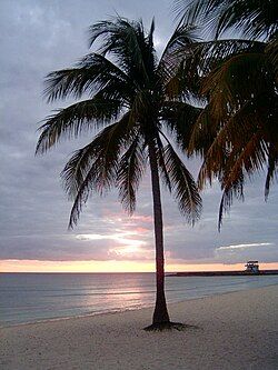 Playa Girón at sunset