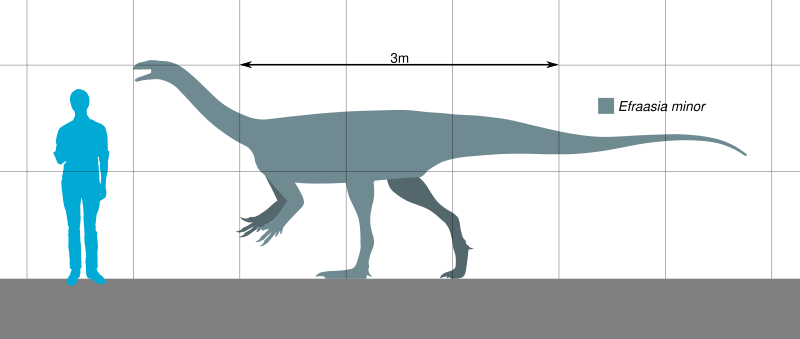 File:Efraasia Scale.svg