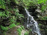 Ricketts Glen State Park