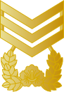 File:SouthKorea-Navy-OR-8.svg